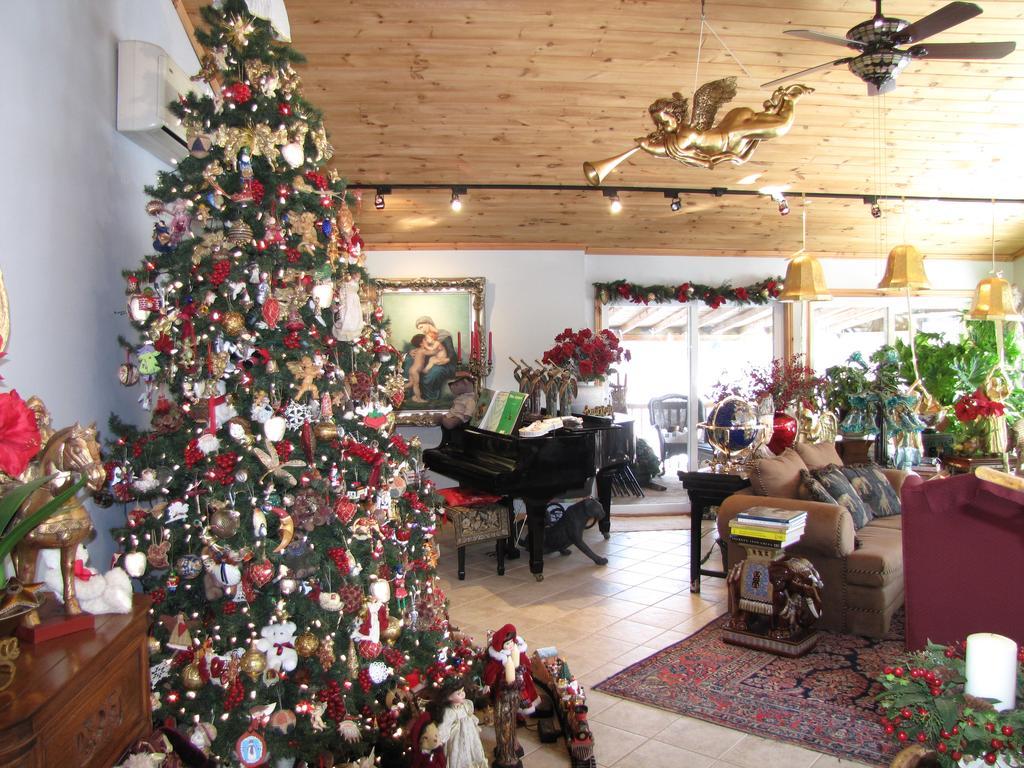 Shambhala Bed And Breakfast Buckhorn Extérieur photo